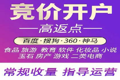 百度推广平台案例剖析：揭秘广告投放策略